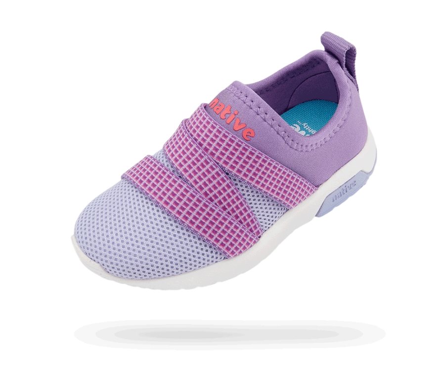 Native Phoenix Sneakers Jungen Lila | 3W1IE1820